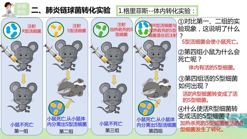 【核心素养】人教版高中生物必修二3.1《DNA是主要的遗传物质》课件PPT+教案+练习07