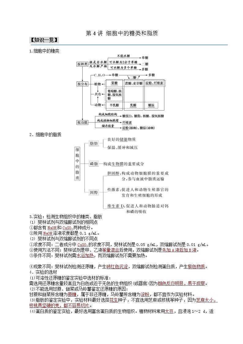 第4讲 细胞中的糖类和脂质-【分类归纳】最新高一生物考法和题型分类精讲（人教版2019必修1）01