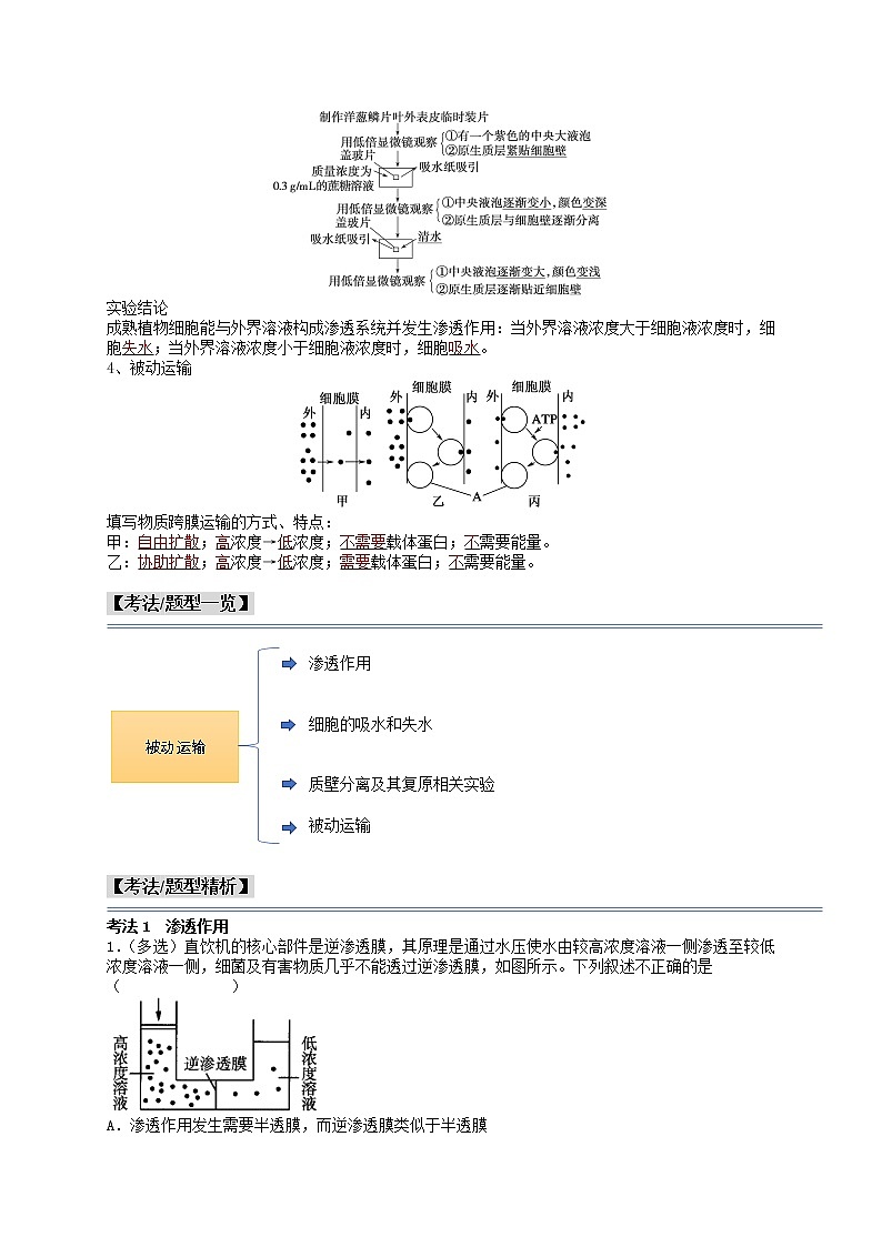 第10讲 被动运输-【分类归纳】最新高一生物考法和题型分类精讲(人教版2019必修1)02