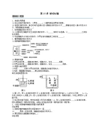 生物必修1《分子与细胞》第1节 被动运输课时练习