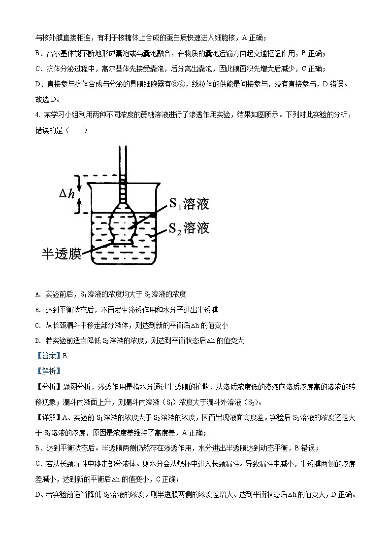 安徽省合肥市六中2021-2022学年高一生物上学期期末试题(Word版附解析)第3页