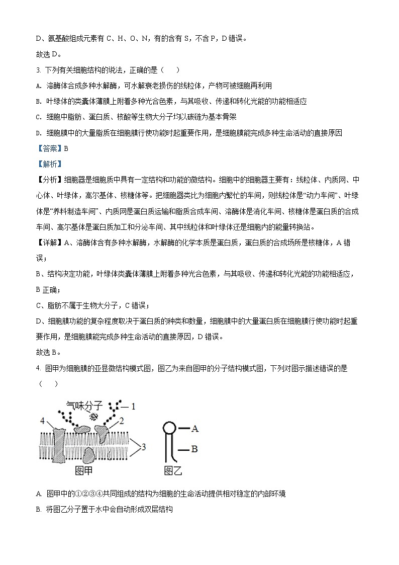 安徽省六安市第一中学2021-2022学年高一生物上学期期末试题(Word版附解析)第2页