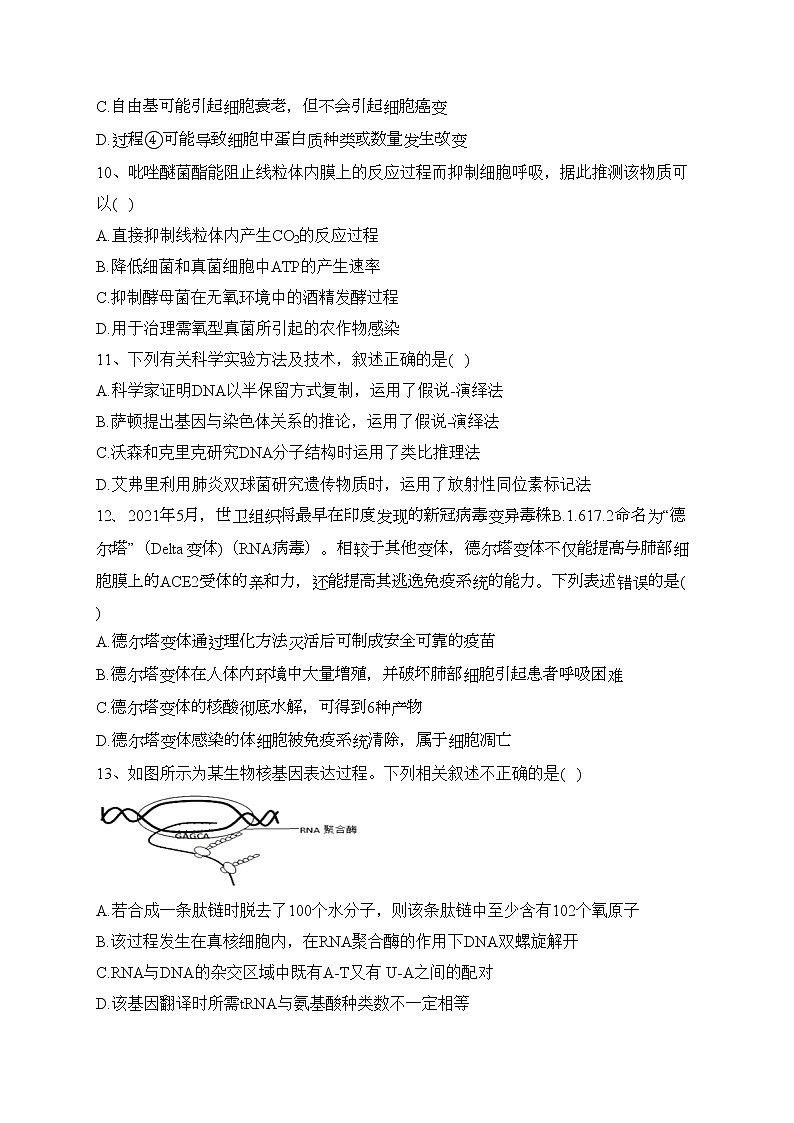 黑龙江省八校2022届高三上学期期末联合考试生物试卷(含答案)03