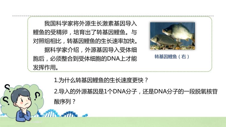 【核心素养】人教版高中生物必修二3.4《基因通常是有遗传效应的DNA片段》课件PPT+教案+练习03