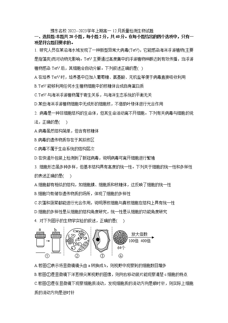 2023豫东名校--上期高一12月质量检测生物试题01