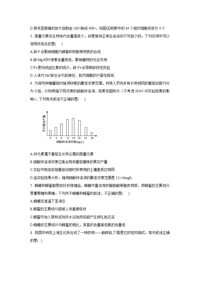 2023豫东名校--上期高一12月质量检测生物试题02