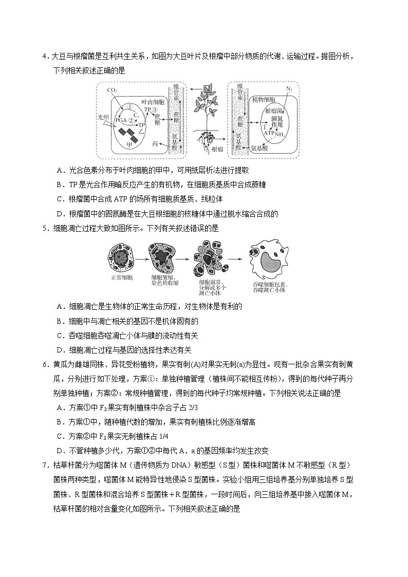 河北省衡水中学2022-2023学年高三上学期高考四调考试生物试题(含答案)02