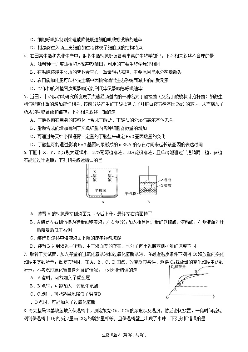 2023深圳中学高三上学期第一次阶段测试生物含答案02