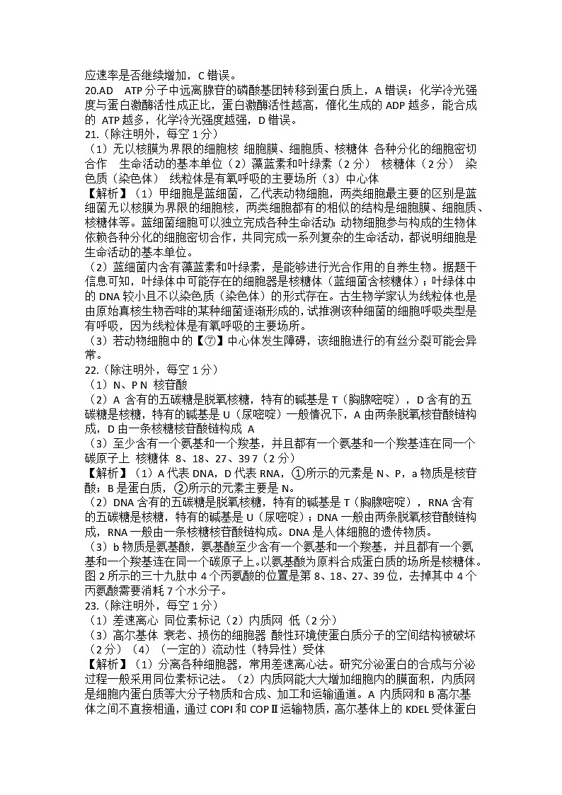 河南省信阳高级中学2022-2023学年高一上学期12月测试生物答案第2页
