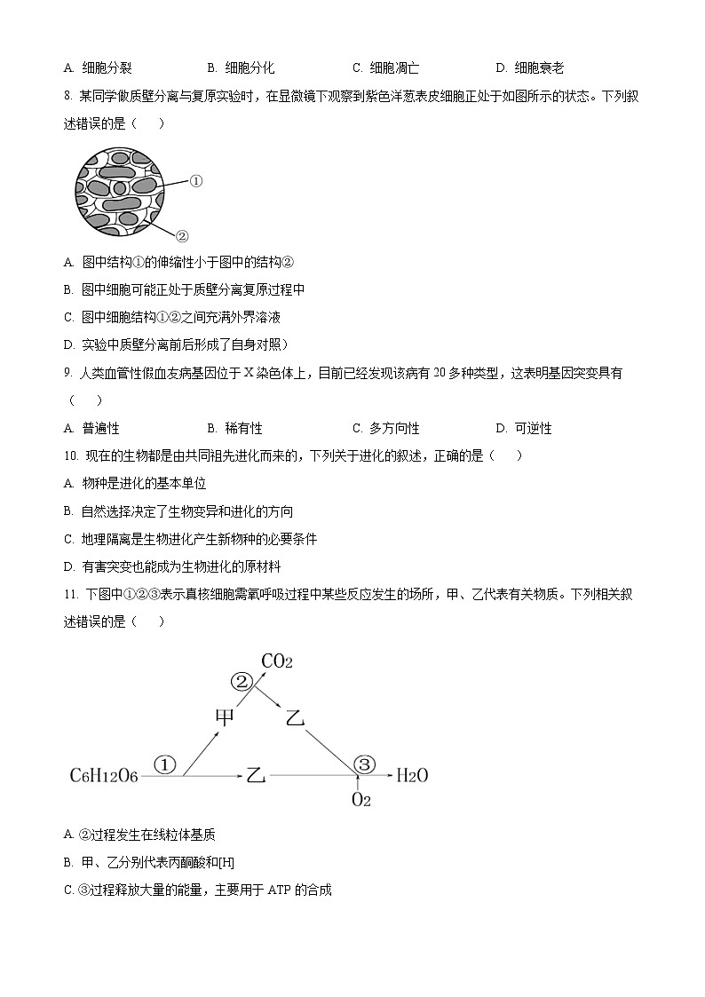 2022宁波咸祥中学高一下学期期末考试生物含解析02