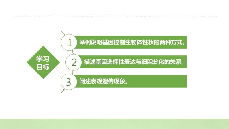 【核心素养】人教版高中生物必修二4.2《基因表达与性状的关系》课件PPT+教案+练习03