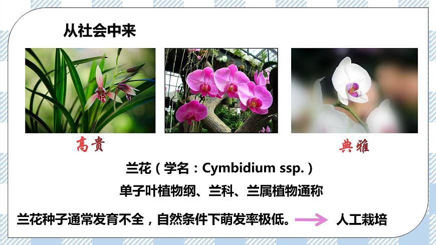 第1節(jié)  一  植物細(xì)胞工程的基本技術(shù) 課件第3頁