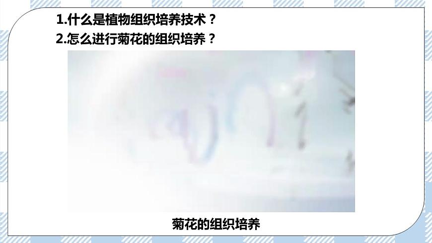 第1節(jié)  一  植物細(xì)胞工程的基本技術(shù) 課件第6頁