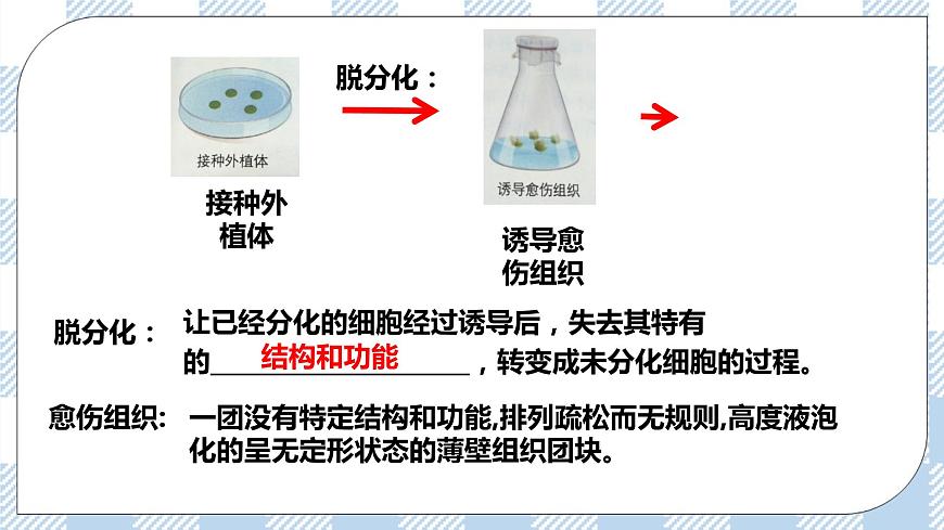 第1節(jié)  一  植物細(xì)胞工程的基本技術(shù) 課件第7頁