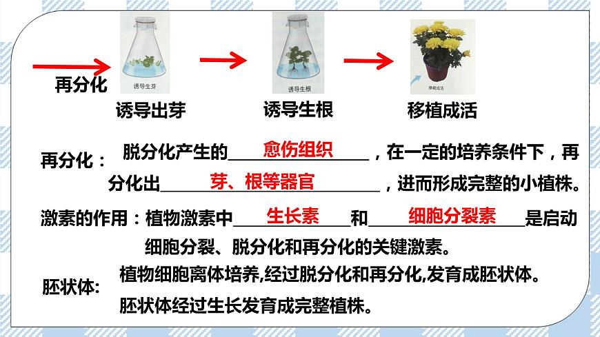 第1節(jié)  一  植物細(xì)胞工程的基本技術(shù) 課件第8頁