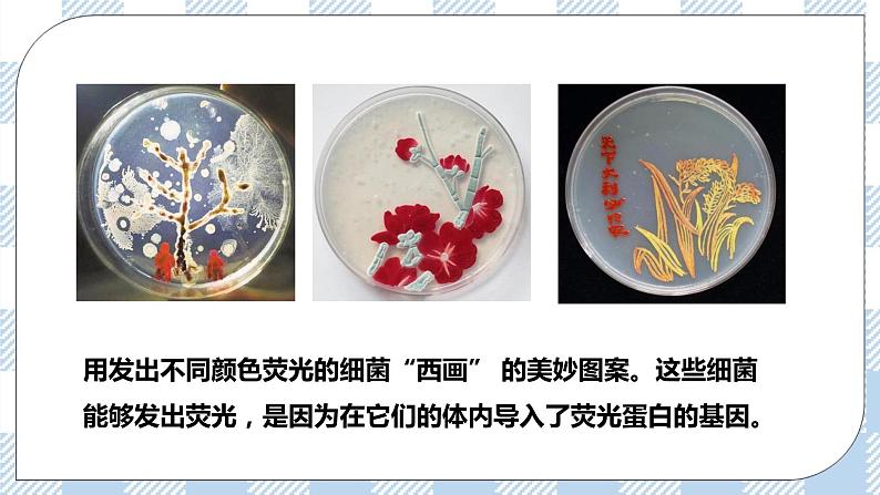 人教统编版高中生物选修三 第三章第4节 蛋白质工程的原理和应用 课件+教学设计03