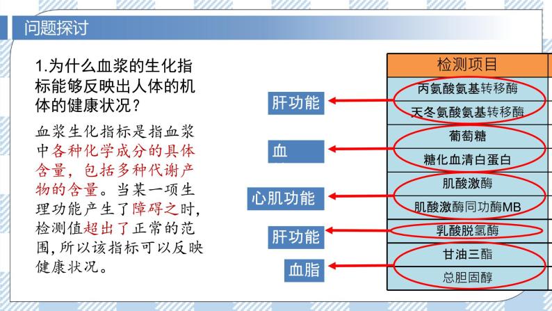 1.2 内环境的稳态 课件＋课时作业（原卷＋解析卷）04