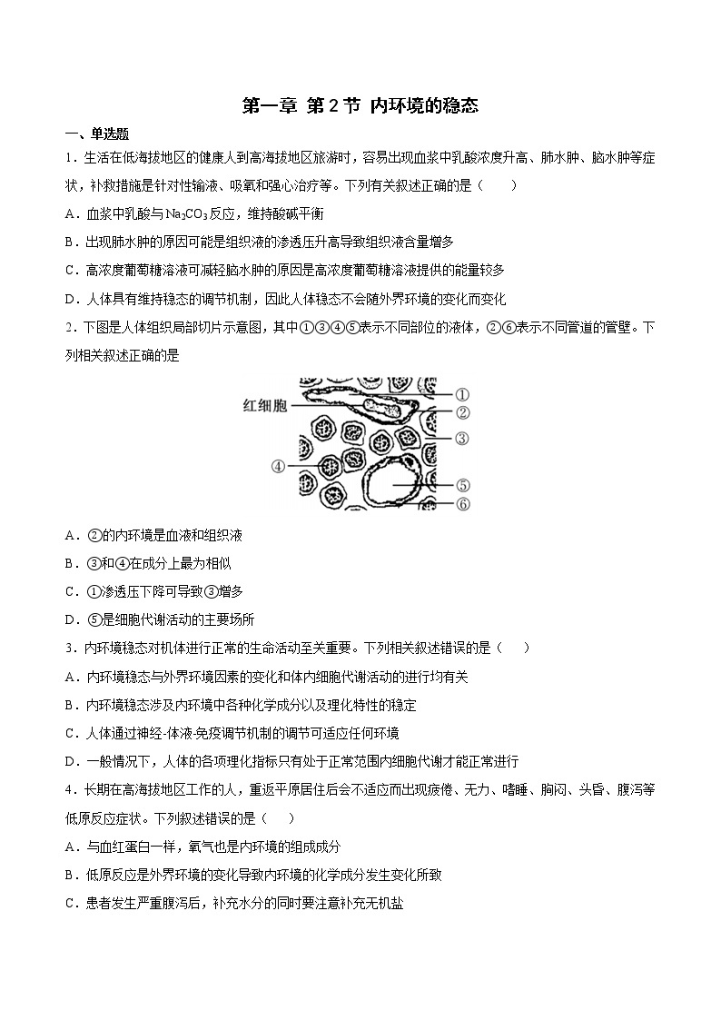 1.2 内环境的稳态 课件＋课时作业（原卷＋解析卷）01