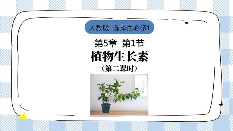 5.1 植物生长素(第二课时)课件第1页