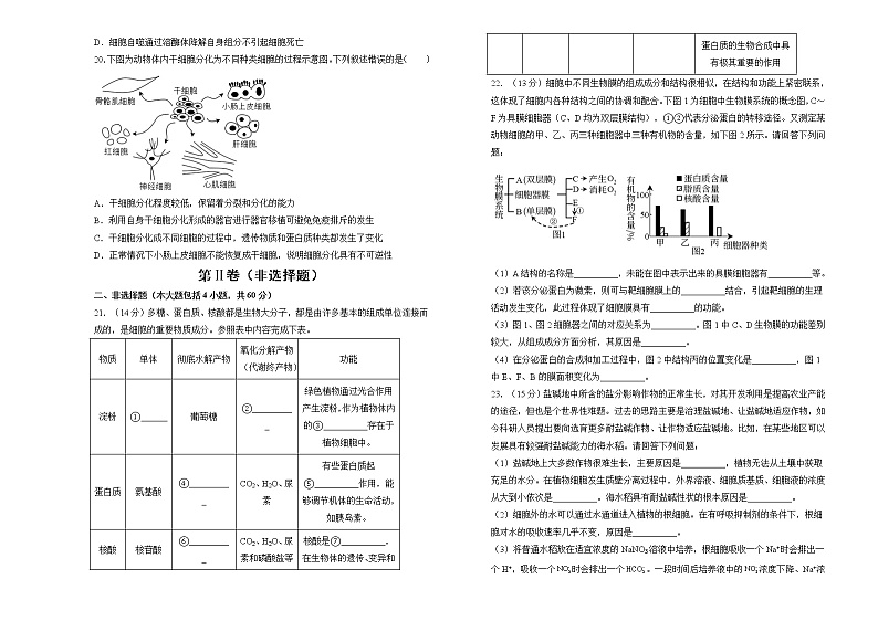 2023重庆沙坪坝区重点中学高一上学期期末复习(二)生物试题含解析第3页