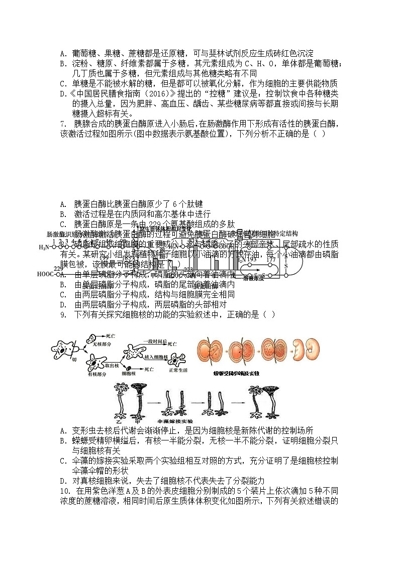 辽宁省六校协作体2022-2023学年高一生物上学期12月月考试题(Word版附答案)第2页