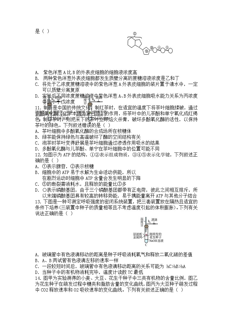 辽宁省六校协作体2022-2023学年高一生物上学期12月月考试题(Word版附答案)第3页