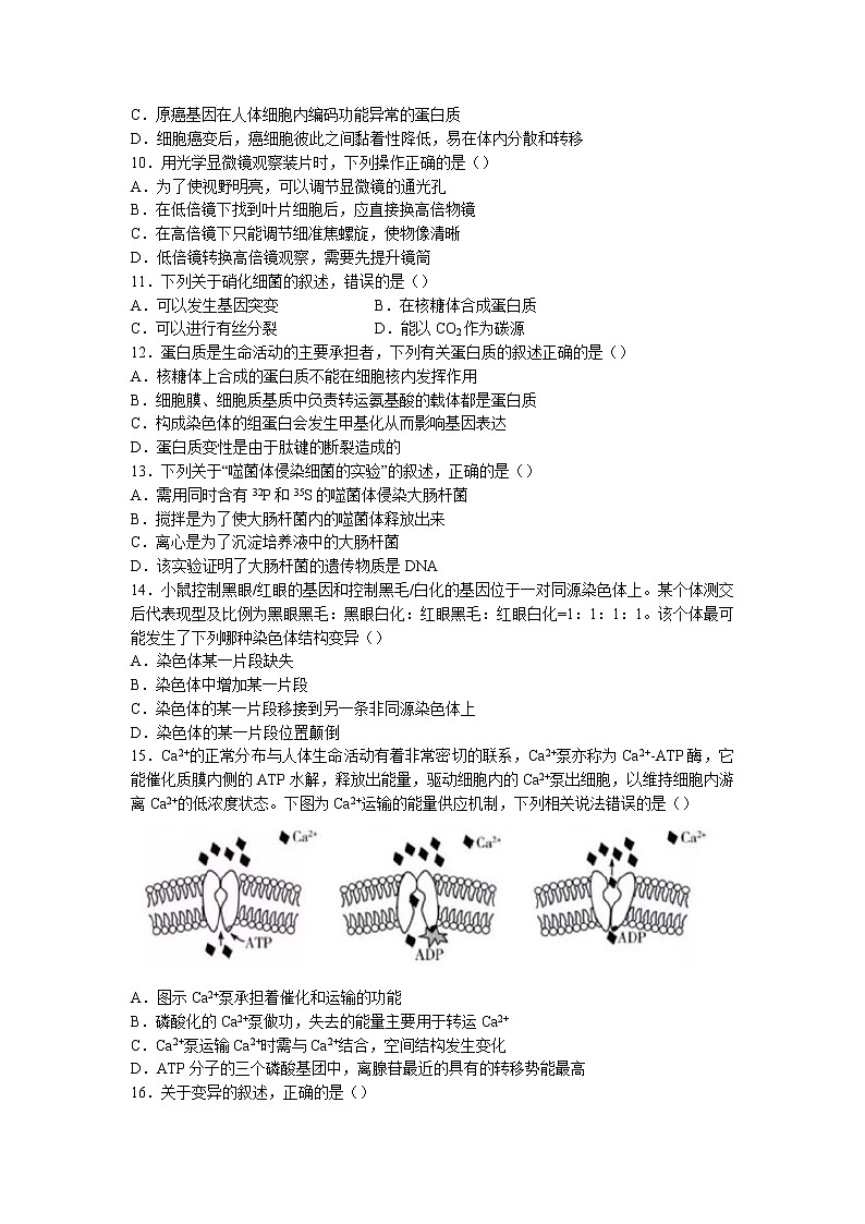 2022-2023学年黑龙江省哈尔滨市三中高三上学期期中生物试题第2页