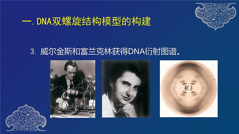 部编生物必修第2册(课件)8 DNA的结构07