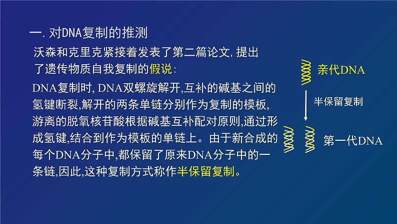 部编生物必修第2册(课件)9 DNA的复制第5页