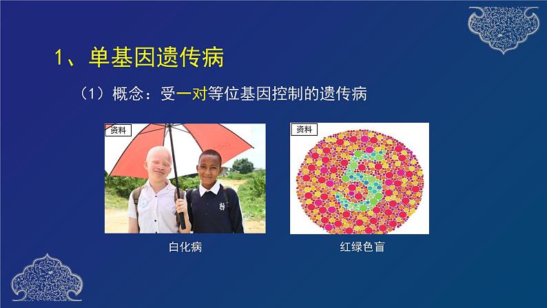 部编生物必修第2册(课件)15 人类遗传病04