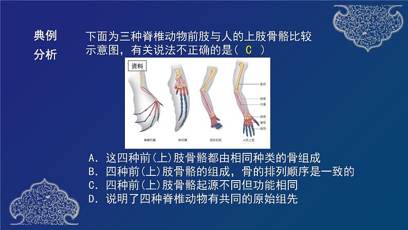 部编生物必修第2册(课件)22 生物的进化专题复习第7页