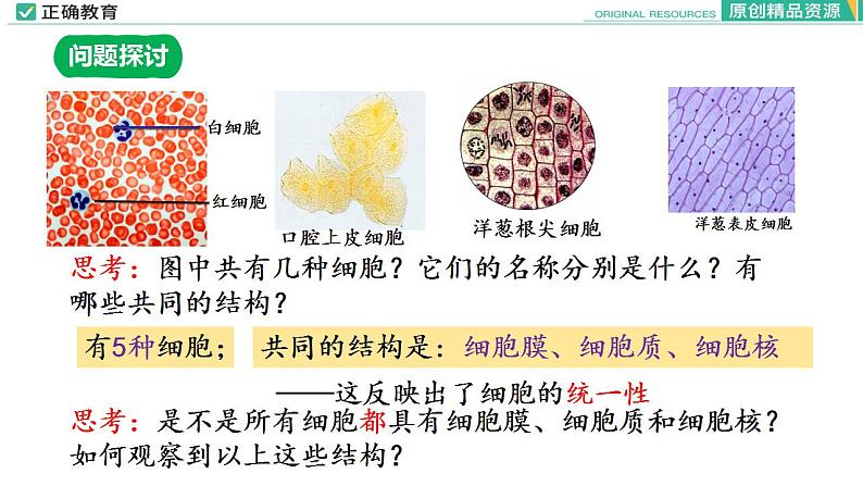 1.2 细胞的多样性和统一性课件PPT04
