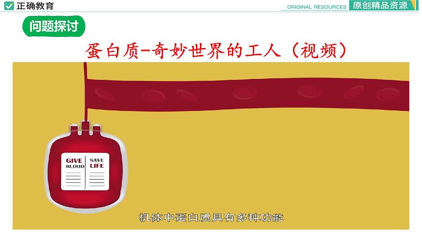 2.4 蛋白質(zhì)是生命活動(dòng)的主要承擔(dān)者（第一課時(shí)）課件PPT第3頁