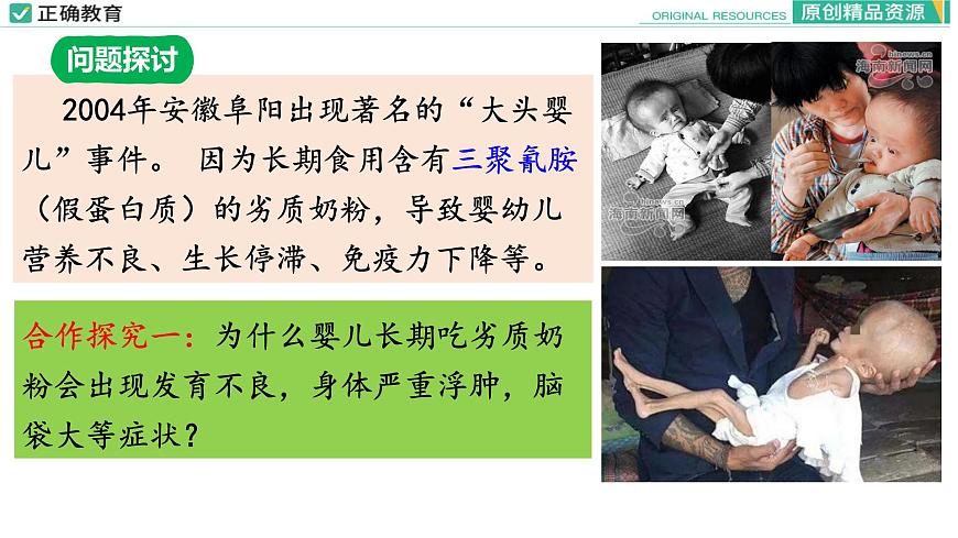 2.4 蛋白質(zhì)是生命活動(dòng)的主要承擔(dān)者（第一課時(shí)）課件PPT第4頁