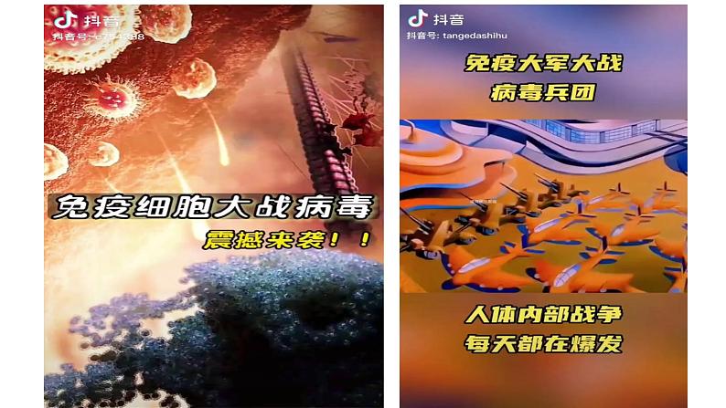 2023届高三生物一轮复习课件:第25讲 免疫调节(第二课时)02