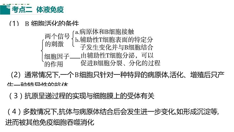 2023届高三生物一轮复习课件:第25讲 免疫调节(第二课时)05