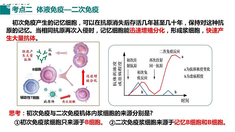 2023届高三生物一轮复习课件:第25讲 免疫调节(第二课时)06