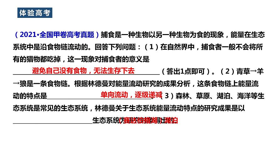 2023屆高三生物一輪復習課件:生態(tài)系統(tǒng)的能量流動第2頁