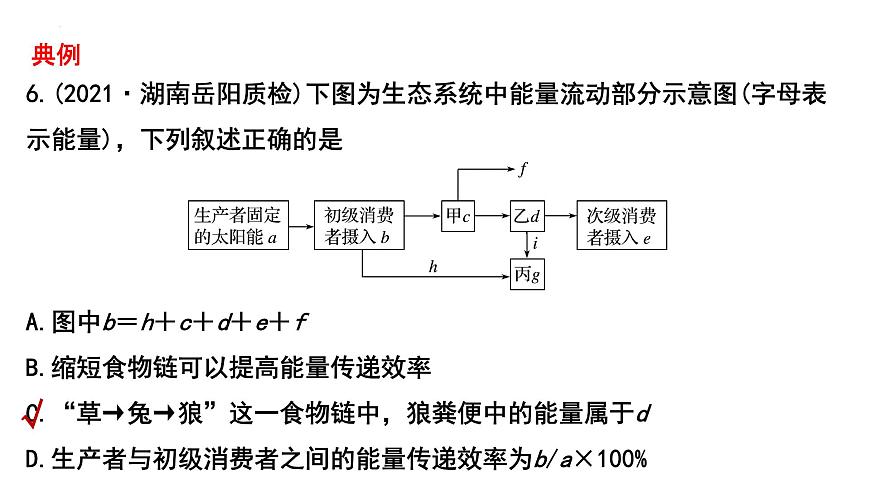 2023屆高三生物一輪復習課件:生態(tài)系統(tǒng)的能量流動第3頁