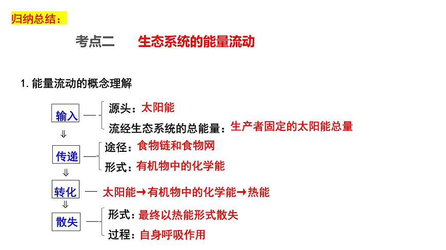 2023屆高三生物一輪復習課件:生態(tài)系統(tǒng)的能量流動第4頁