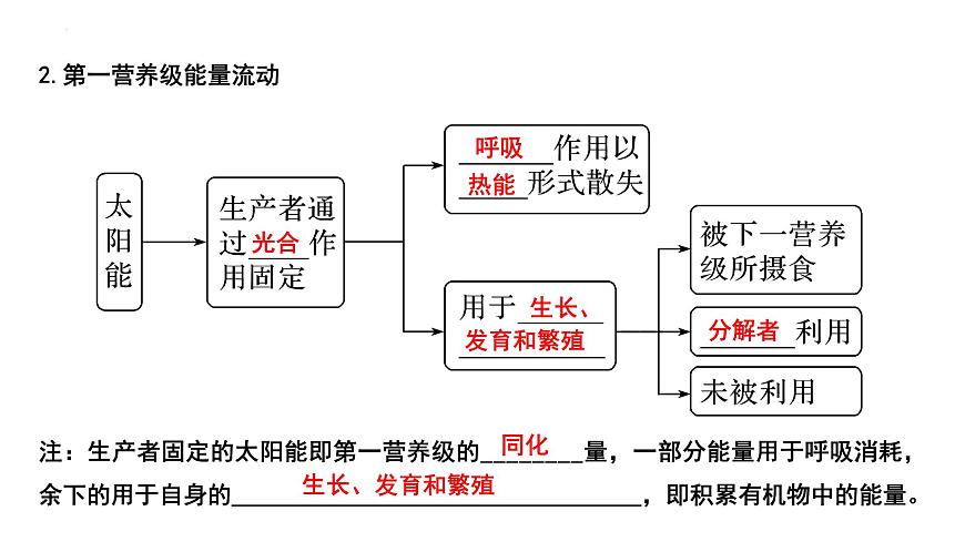 2023屆高三生物一輪復習課件:生態(tài)系統(tǒng)的能量流動第5頁