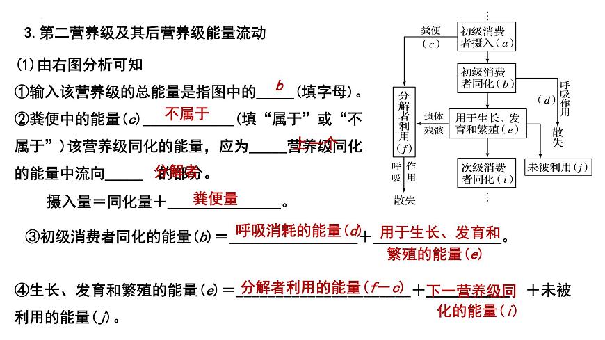 2023屆高三生物一輪復習課件:生態(tài)系統(tǒng)的能量流動第6頁