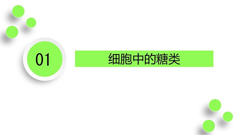 2023届高三生物一轮复习课件:细胞中的糖类和脂质第4页