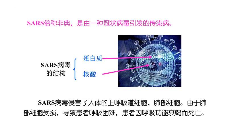 2023届高三生物一轮复习课件:走近细胞第4页