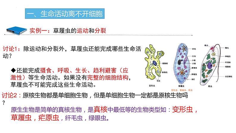 2023届高三生物一轮复习课件:走近细胞第8页