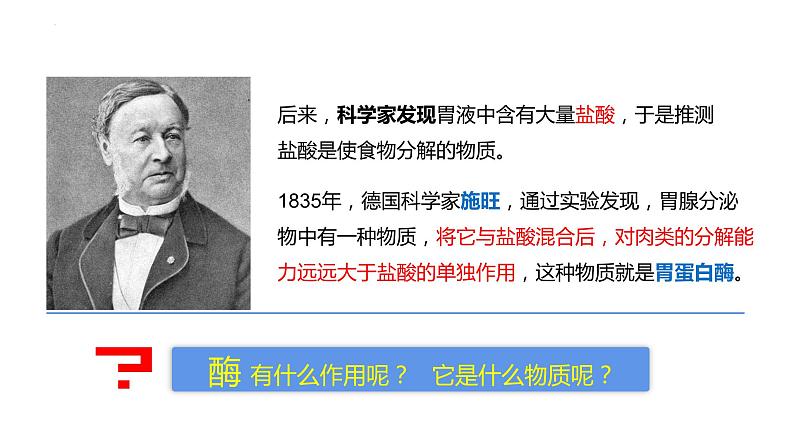2023届高三一轮复习生物:5.1.1酶的作用和本质课件第3页
