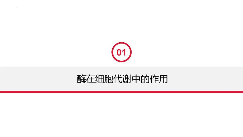 2023届高三一轮复习生物:5.1.1酶的作用和本质课件第4页