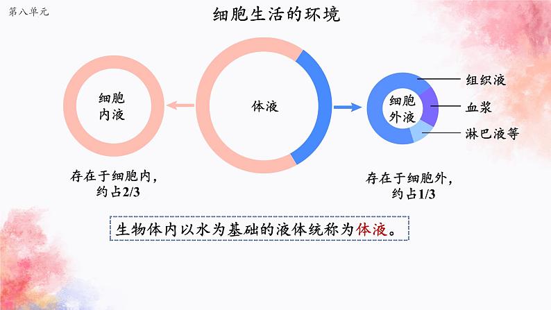 2023届高三一轮复习生物:动物和人体生命活动的调节(1)课件04