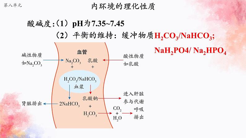 2023届高三一轮复习生物:动物和人体生命活动的调节(1)课件08