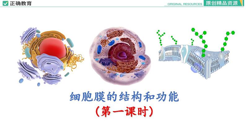3.1 细胞膜的结构和功能(第一课时)课件PPT第1页